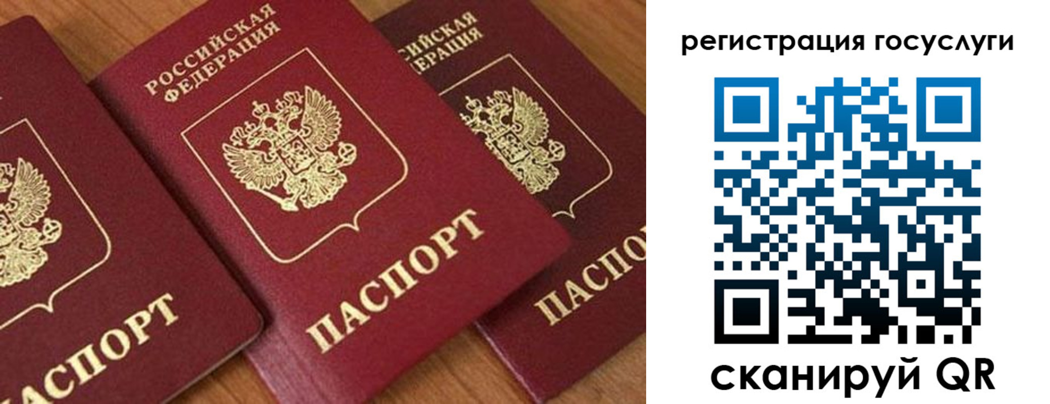 временная регистрация гарантия в Называевске